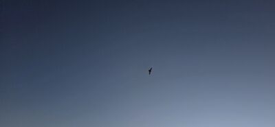 20260908_194018.jpg