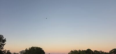 20260908_194041.jpg