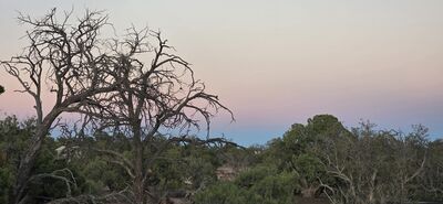 20260908_194454.jpg
