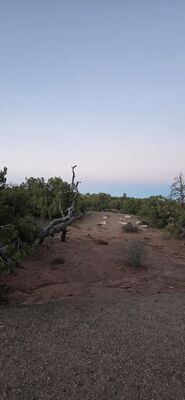 20260908_194954.jpg