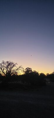 20260908_200101.jpg