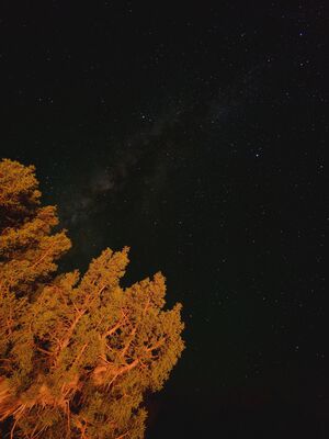 20260908_223751.jpg