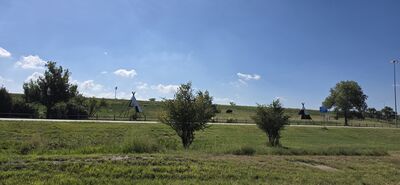 20260910_101539.jpg