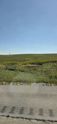20260911_135811.jpg