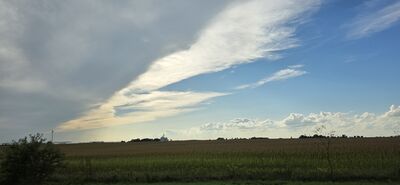 20260911_171713.jpg
