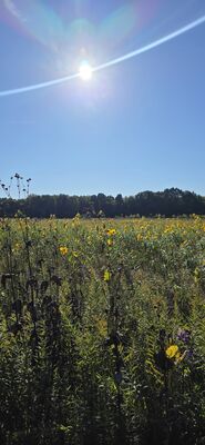20260927_164935.jpg