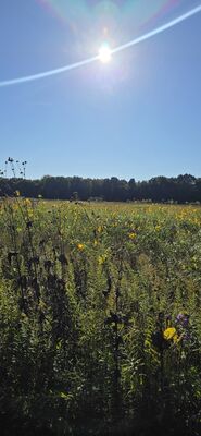 20260927_164941.jpg