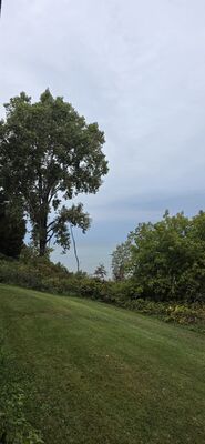 20261001_170540.jpg