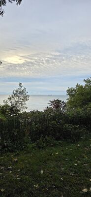 20261002_075552.jpg