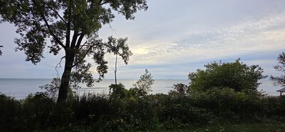 20261002_075606.jpg