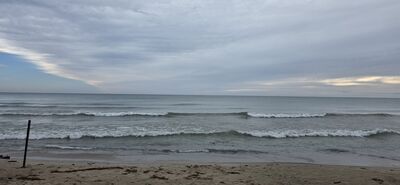 20261002_085834.jpg