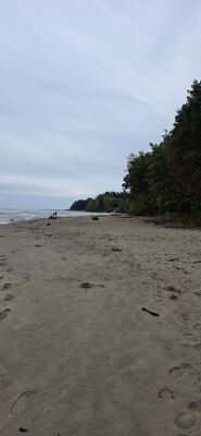 20261002_090019.jpg