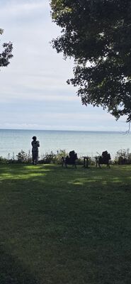 20261002_114652.jpg
