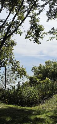 20261002_114719.jpg