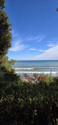 20261002_114739.jpg