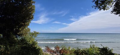 20261002_114748.jpg
