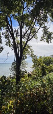 20261002_114759.jpg