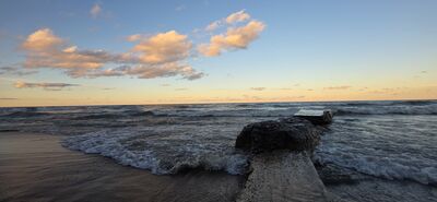 20261002_185203.jpg