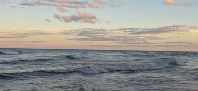 20261002_185517.jpg