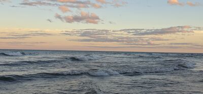 20261002_185518.jpg