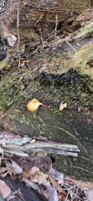 20261003_125206.jpg
