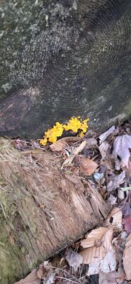 20261003_125222.jpg