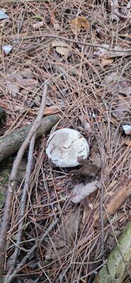 20261003_125418.jpg