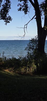 20261003_172544.jpg