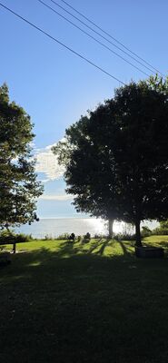 20261004_092804.jpg