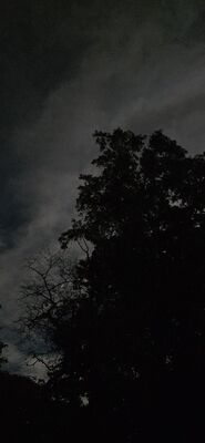 20260926_221509.jpg
