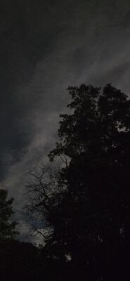 20260926_221539.jpg