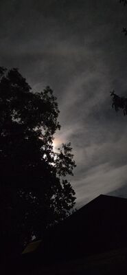 20260926_221606.jpg