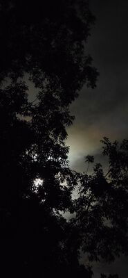 20260926_221641.jpg
