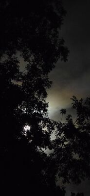 20260926_221643.jpg
