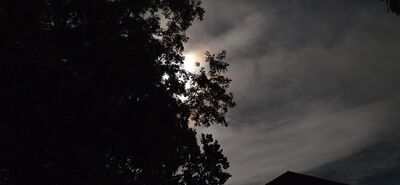 20260926_221710.jpg