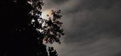 20260926_221727.jpg