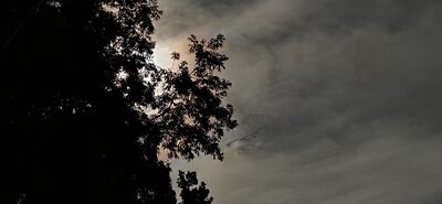 20260926_221735.jpg