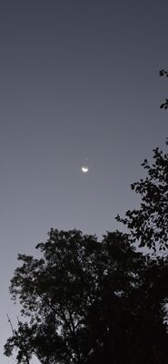 20261006_065957.jpg