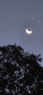 20261006_070136.jpg