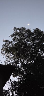 20261006_070322.jpg
