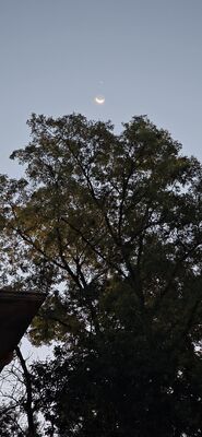 20261006_070335.jpg