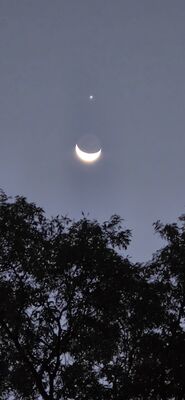 20261006_070346.jpg