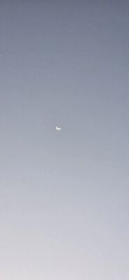 20261006_071718.jpg
