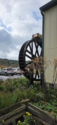 20261012_103256.jpg