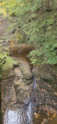 20261012_105632.jpg
