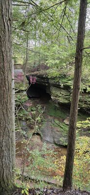 20261012_105752.jpg
