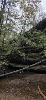 20261012_110239.jpg