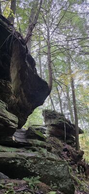 20261012_110759.jpg