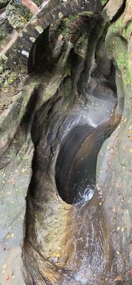 20261012_110942.jpg