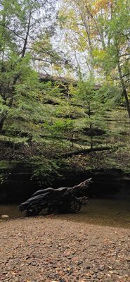20261012_111221.jpg